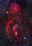 Orion Constellation