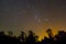 Orion constellation rising over a night forest silhouette