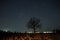 Orion stars observingn over field in Latvia