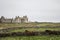 Orkney coastline house with horses Skara Brae