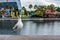 ORLANDO, FLORIDA, USA - DECEMBER, 2018: Beautiful lake view with pigeon and Simpsons area at the background, Universal Studios
