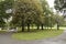 ormeau ormeau park, vast greenery at the ormeau park, belfast, northern ireland