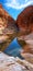 Ormiston Gorge landmark Australia. Vertical panorama