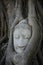 Ornament: detailed sandstone Buddha head in tree