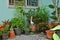 Ornament plants and sculpture at the corner of house