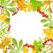 Ornamental autumn watercolor frame