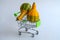 Ornamental bicolor pumpkins in shopping cart