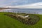 Ornamental Boat containing Flowers, with Tynemouth`s Coastline i