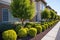 ornamental bushes lining the base of the house