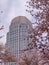 Ornamental Cherry Trees in Winston-Salem