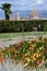 Ornamental chillies in a garden located at michelangelo square with nice view on the Cathedral of Santa Maria del Fiore in