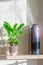 Ornamental deciduous houseplant Zamioculcas and a humidifier with steam on a sunlit shelf in a home interior