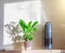 Ornamental deciduous houseplant Zamioculcas and a humidifier with steam on a sunlit shelf in a home interior