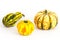 Ornamental or decorative gourd