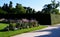 Ornamental flower bed in front of the castle on the ground floor. Planting annuals has the shape of a circle or strips bordered by