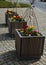 Ornamental flower pots on village center trough, wooden flower pots with beautiful decorations of violets and daffodils. Easter is