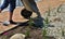 Ornamental flowerbed with perennials and stones made of gray granite, mulched pebbles in the city garden, prairie, ornamental gras