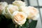 Ornamental Flowers - Charming Champagne Rose