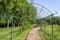 Ornamental garden iron trellis arch gate walking path