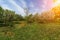 Ornamental garden with majestically blossoming large cherry trees and Apple trees on a fresh green lawn