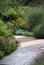 Ornamental garden path with perennial plants