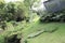 Ornamental garden with trees and plants near a little torrent Madeira, Portugal