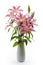 Ornamental gift, natural lily and genuine flowers concept with bouquet of real pink lilies in vase isolated on white background