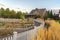 Ornamental grass growing around a curving fence