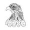 Ornamental head of eagle bird, trendy ethnic zentangle style illustration, hand drawn