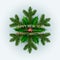 Ornamental image of Snowflakes Collected from Christmas Tree Branch. Vector illustration. Great for christmas cards