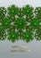 Ornamental image of Snowflakes Collected from Christmas Tree Branch. Vector illustration. Great for christmas cards