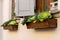 Ornamental kale as Floral windowsill decoration in wooden rectangle pots