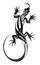 Ornamental lizard illustration