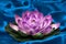 Ornamental lotus background