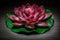 Ornamental lotus light painting