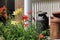 Ornamental milk urns on porch of country home