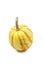 Ornamental orange autumn gourd or pumpkin