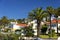 Ornamental palm trees in Canico de Baixo Resort, Madeira, Portugal.