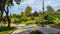 Ornamental park with trees grass and bushes. Pavement and brick floor and blue sky with some clouds. Colourful with many species.