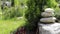 Ornamental pines and spruces in garden and stack zen stone balance in the nature background