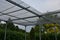 In ornamental plant nurseries, it is necessary to protect some ferns and delicate species from the sun by shading a pergola with a