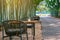 Ornamental plants in small vase on tables to sit and relax beside the path in natural green bamboo garden.Relaxation vibe outdoor