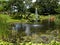 Ornamental pond and water fountain in a garden