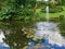 Ornamental pond and water fountain in a garden