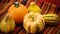 Ornamental pumpkins and gourds on colorful fabric