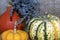 Ornamental pumpkins on a straw mat. wooden background.