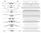 Ornamental rule lines in different design