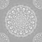 Ornamental Seamless Lace Background
