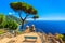 Ornamental suspended garden,Rufolo gardens,Ravello,Amalfi coast,Italy,Europe