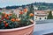 Ornamental terracotta pot on balcony with view of italian cityscape quarter